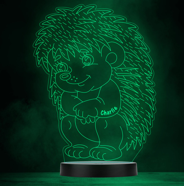 Baby Hedgehog Children's Animal Personalised Gift Colour Change Lamp Night Light