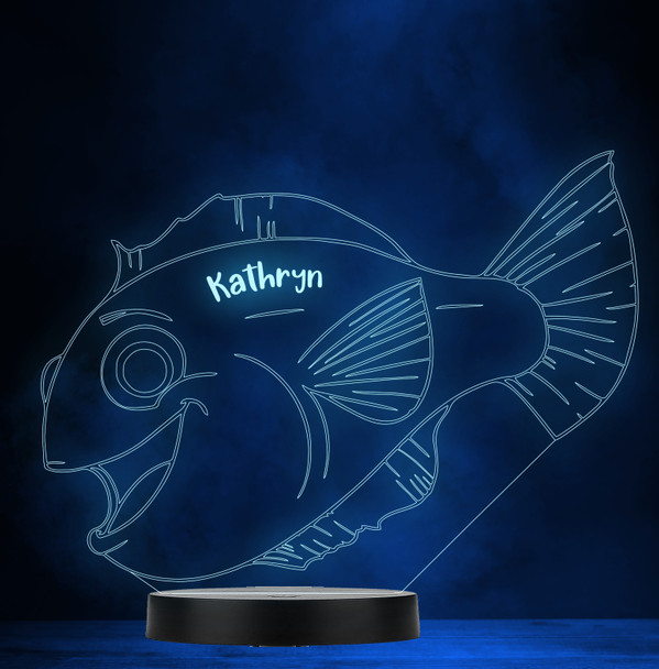 Smiling Fish Personalised Gift Colour Changing Led Lamp Night Light