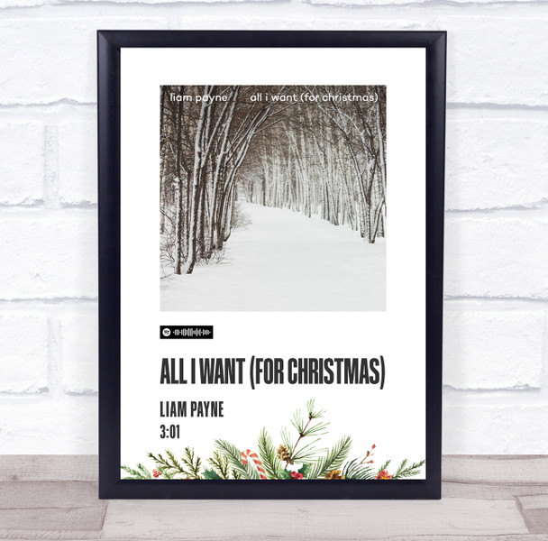 Liam Payne All I want for Christmas Christmas Polaroid Single Music Art Poster Print
