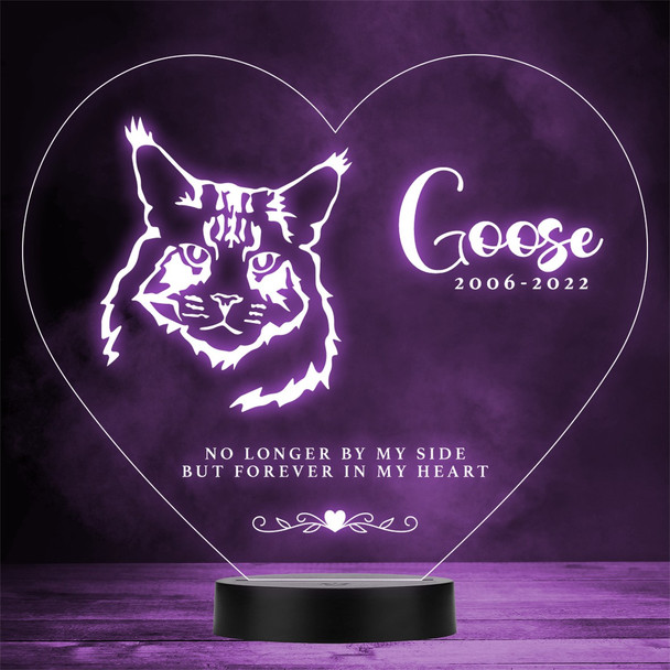 Cat Pet Loss Memorial Forever In My 3 Personalised Gift Colour Night Light