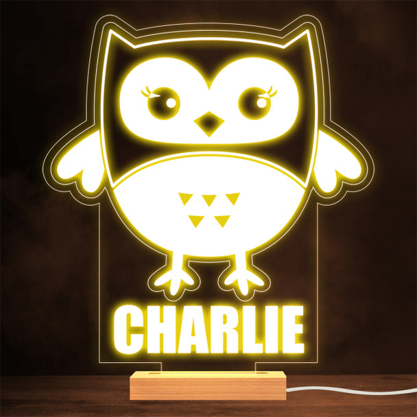 Cute Owl Cartoon Bird Animal Lamp Personalised Gift Night Light