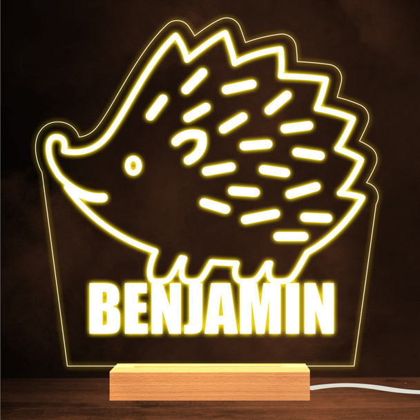 Cute Hedgehog Cartoon Warm White Lamp Personalised Gift Night Light