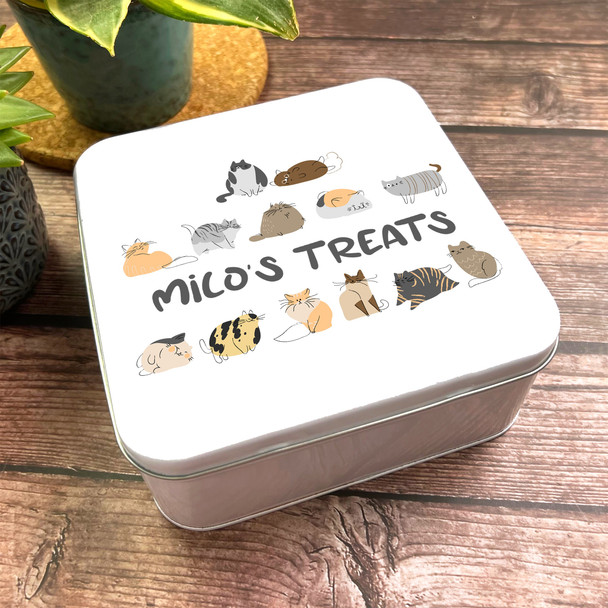 Square Cute and Funny Cats Personalised Pet Treat Tin