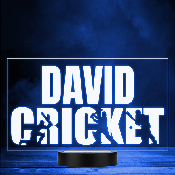 Cricket Players Silhouettes Sports Fan Personalised Colour Changing Night Light