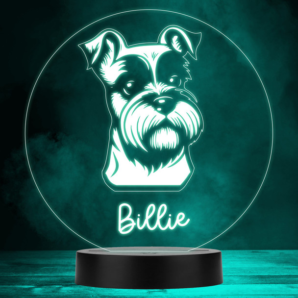 Miniature Schnauzer Dog Pet Multicolour Personalised Gift LED Lamp Night Light