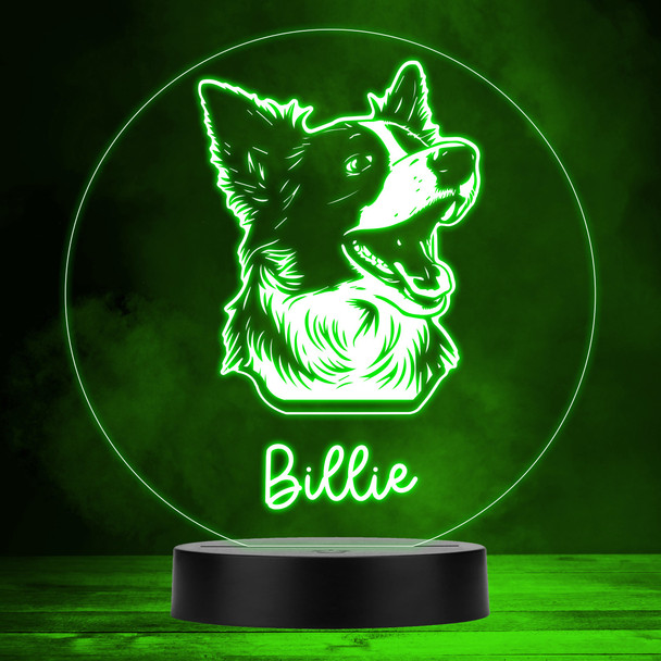 Border Collie Dog Pet Multicolour Personalised Gift LED Lamp Night Light