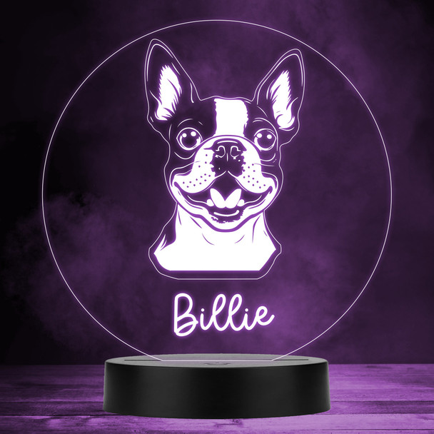 Boston Terrier Dog Pet Multicolour Personalised Gift LED Lamp Night Light