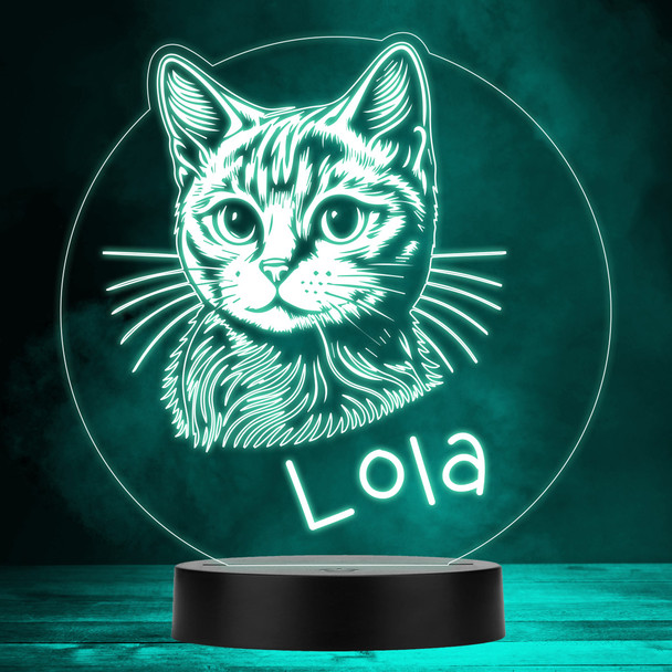 Cat Pet Line Drawing Multicolour Personalised Gift LED Lamp Night Light
