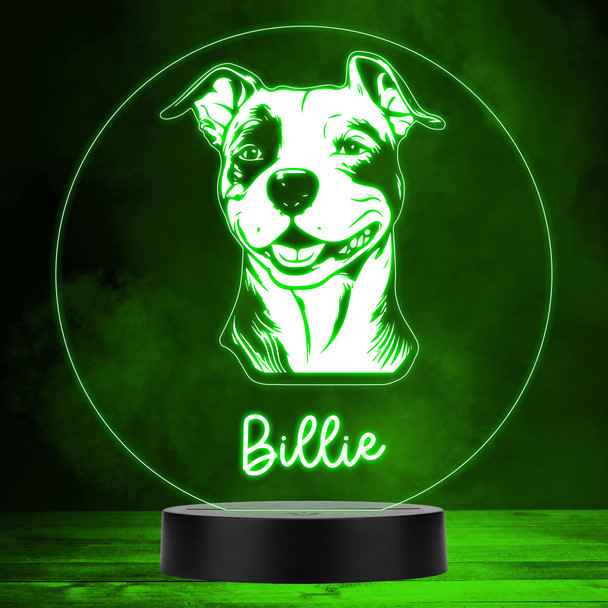 Amstaff American Staff Dog Pet Multicolour Personalised Gift Lamp Night Light