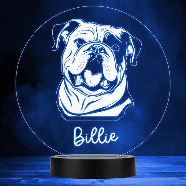 English Bulldog Dog Pet Multicolour Personalised Gift LED Lamp Night Light