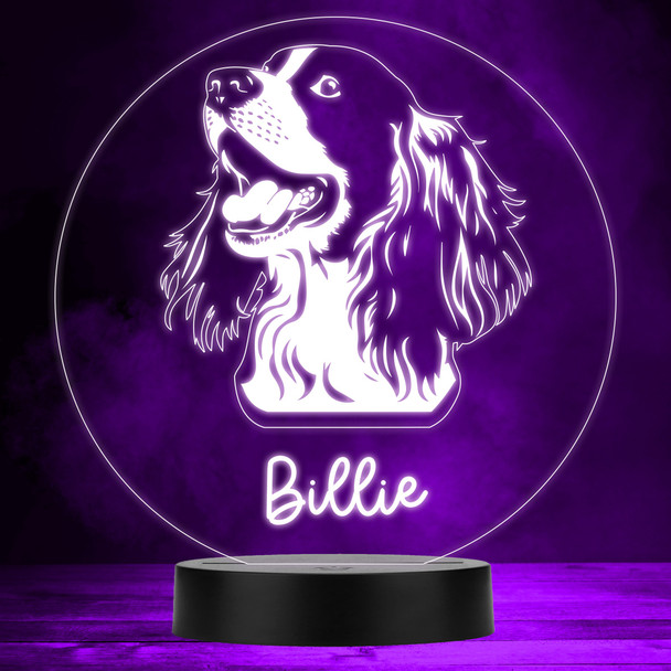 English Springer Spaniel Dog Pet Multicolour Personalised Gift Lamp Night Light