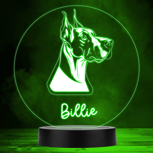 Great Dane Dog Pet Silhouette Multicolour Personalised Gift LED Lamp Night Light