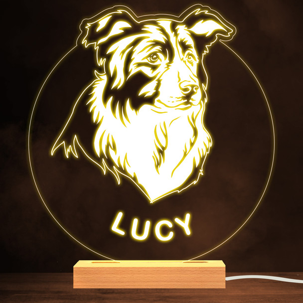 Border Collie Dog Pet Silhouette Warm White Lamp Personalised Gift Night Light