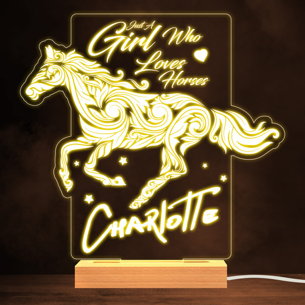 Decorative Horse Girl Who Loves Horses Warm Lamp Personalised Gift Night Light