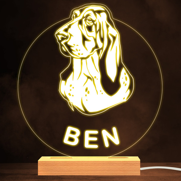 Basset Hound Dog Pet Silhouette Warm White Lamp Personalised Gift Night Light