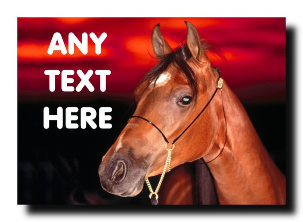 Red Horse Personalised Jumbo Magnet