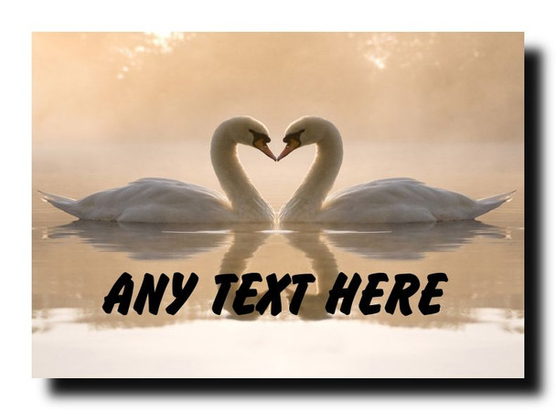 Beautiful Swans Personalised Jumbo Magnet