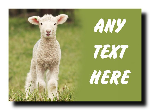 Cute Lamb Personalised Jumbo Magnet