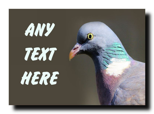 Pigeon Bird Personalised Jumbo Magnet