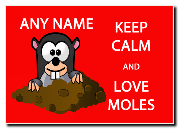 Keep Calm And Love Moles Personalised Jumbo Magnet