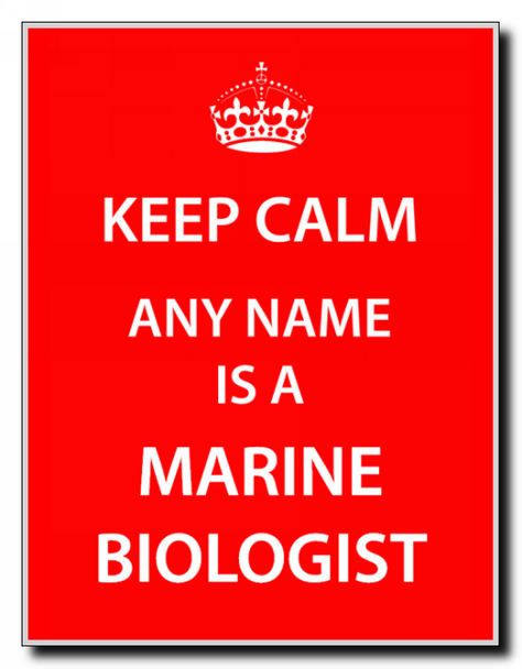Marine Biologist Personalised Keep Calm Jumbo Magnet