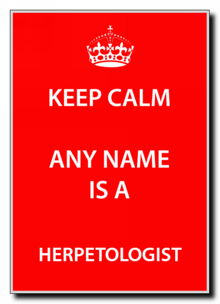 Herpetologist Personalised Keep Calm Jumbo Magnet