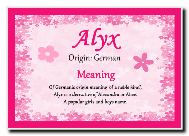 Alyx Personalised Name Meaning Jumbo Magnet