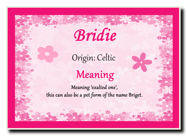 Bridie Personalised Name Meaning Jumbo Magnet