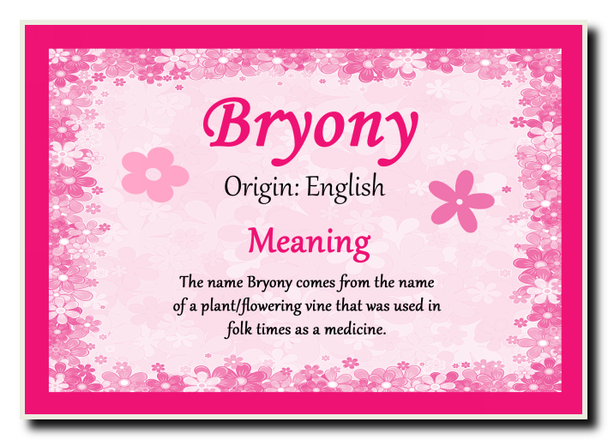 Bryony Personalised Name Meaning Jumbo Magnet