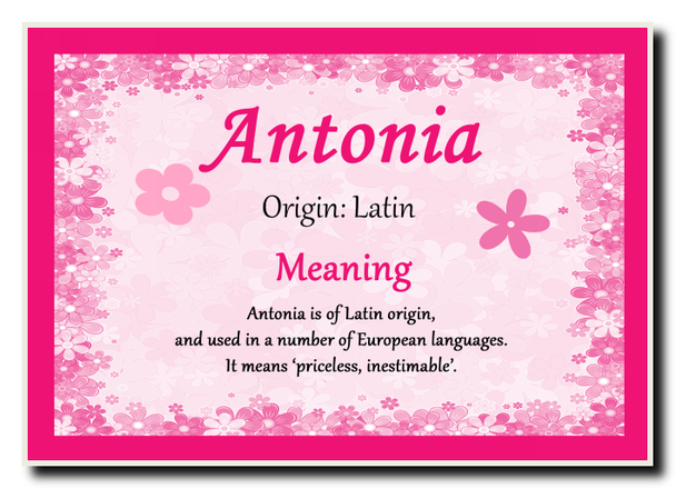Antonia Personalised Name Meaning Jumbo Magnet