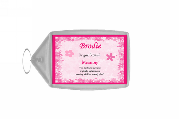 Brodie Personalised Name Meaning Keyring