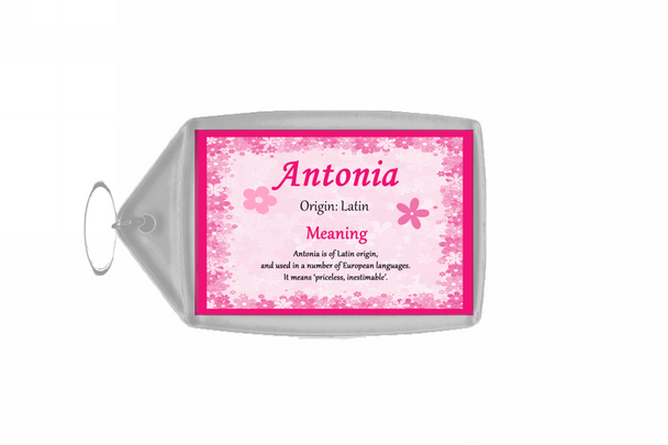 Antonia Personalised Name Meaning Keyring