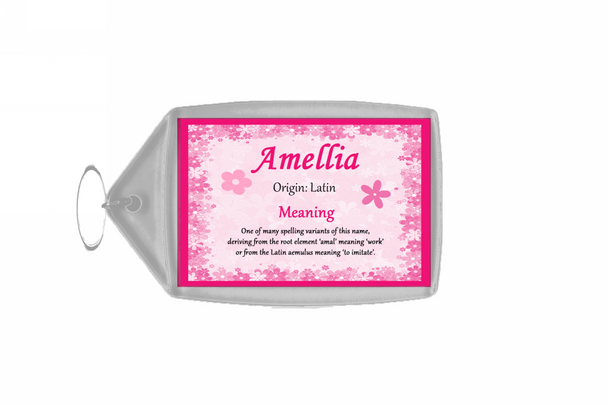 Amellia Personalised Name Meaning Keyring