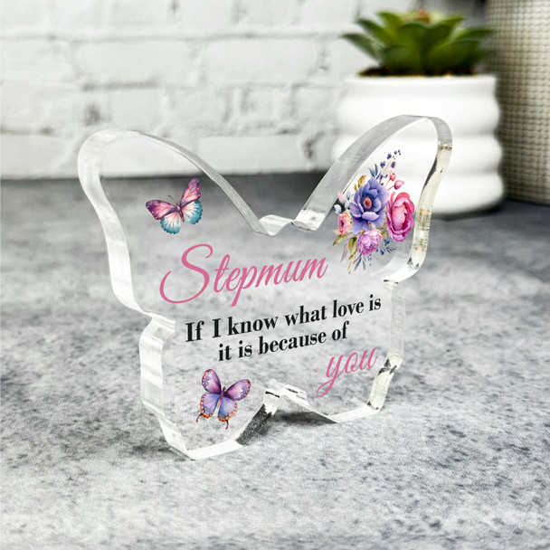 Gift For Stepmum Pink Floral Butterflies Butterfly Plaque Keepsake Gift