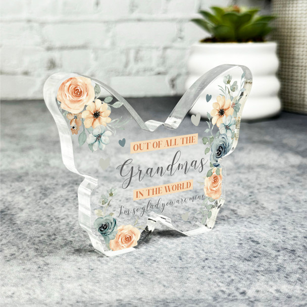 Glad You Are My Grandma Peach Blue Flowers Butterfly Plaque Keepsake Gift