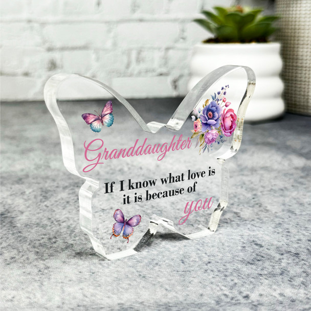 Gift For Granddaughter Pink Floral Butterflies Butterfly Plaque Keepsake Gift