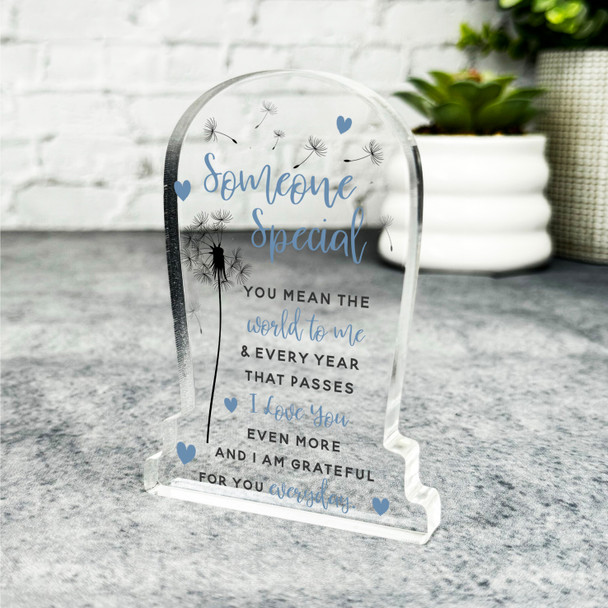 Someone Special Blue Dandelion Gravestone Plaque Sympathy Keepsake Memorial Gift