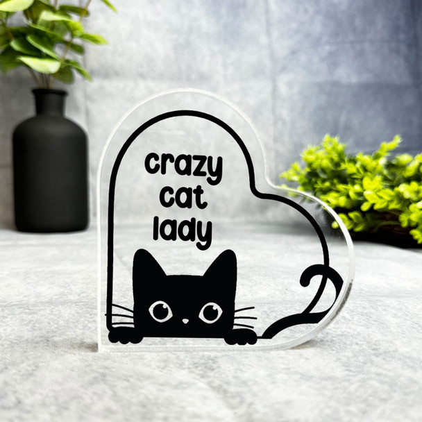 Custom Ornament Black Crazy Cat Lover Lady Cat Lover Heart Plaque Keepsake Gift