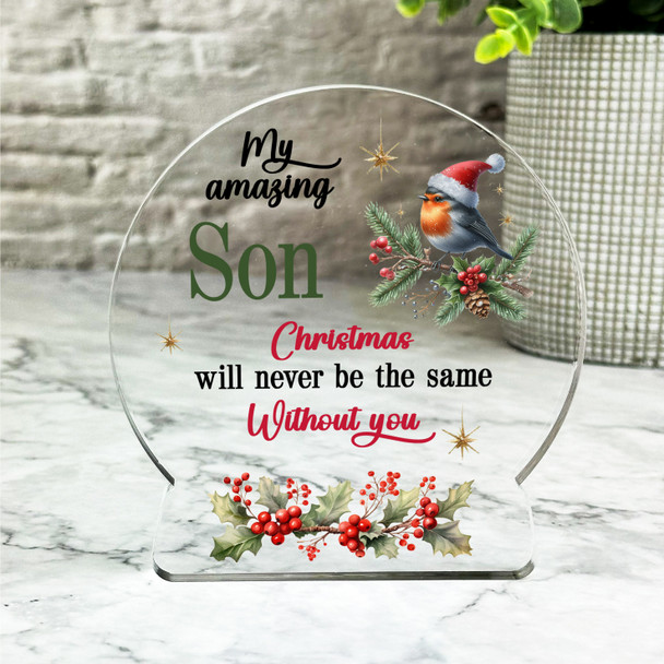 Son Winter Bird Remembrance Christmas Memorial Gift Snow Globe Keepsake Plaque