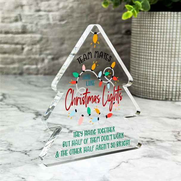 Christmas Lights Secret Santa Team Mates Gift Xmas Tree Keepsake Plaque Decor