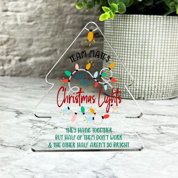Christmas Lights Secret Santa Team Mates Gift Xmas Tree Keepsake Plaque Decor