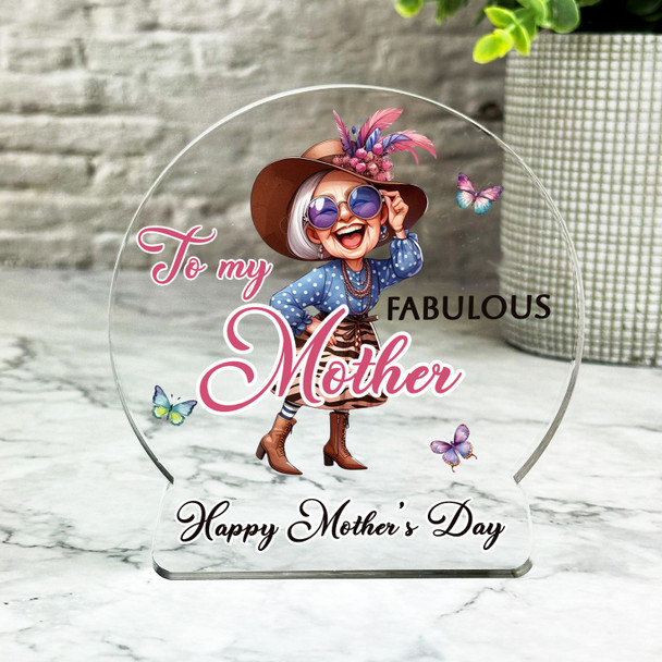 Mother's Day Gift For Mother Fashion Keepsake Snow Globe Ornament Plaque