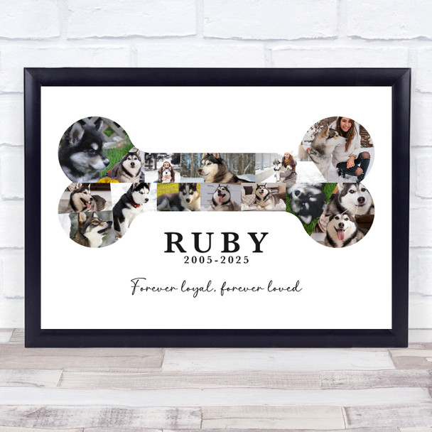 Photo Collage Pets Memorial Custom Gift For Anyone 15-Photo Bone Print Or Canvas Photo Collage Pets Memorial Custom Gift For Anyone 15-Photo Bone Print Or Canvas