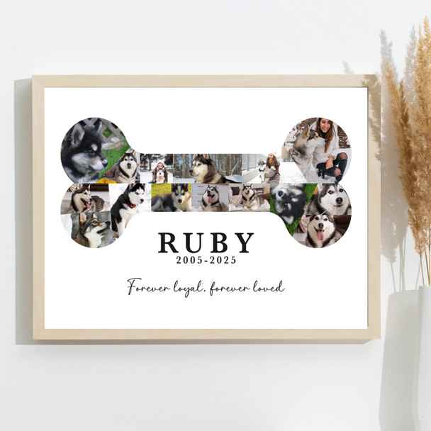 Photo Collage Pets Memorial Custom Gift For Anyone 15-Photo Bone Print Or Canvas Photo Collage Pets Memorial Custom Gift For Anyone 15-Photo Bone Print Or Canvas
