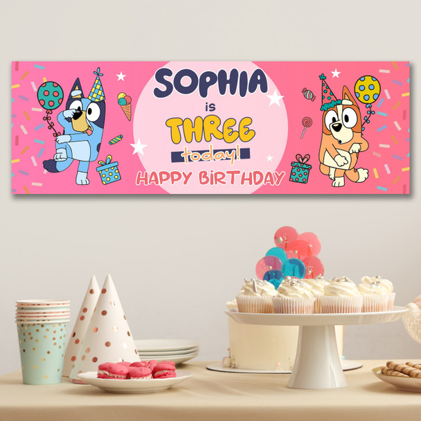 Personalised Party Banner For Kids Birthday Pink Girls Bluey Any Age