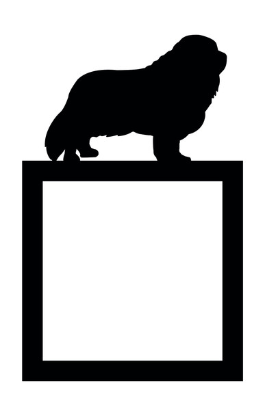 Light Switch Surround Cavalier King Charles Spaniel Dog Decor Switch Cover Frame