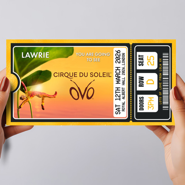 Cirque Du Soleil Show Personalised Gift Voucher Surprise Theatre Ticket