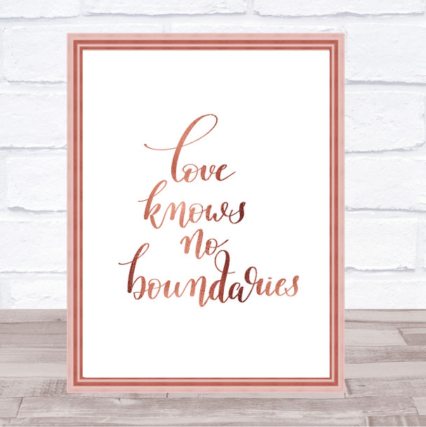 Love Knows No Boundaries Quote Print Poster Rose Gold Wall Art