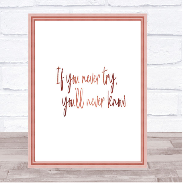 If You Never Try You'll Never Know Quote Print Wall Art