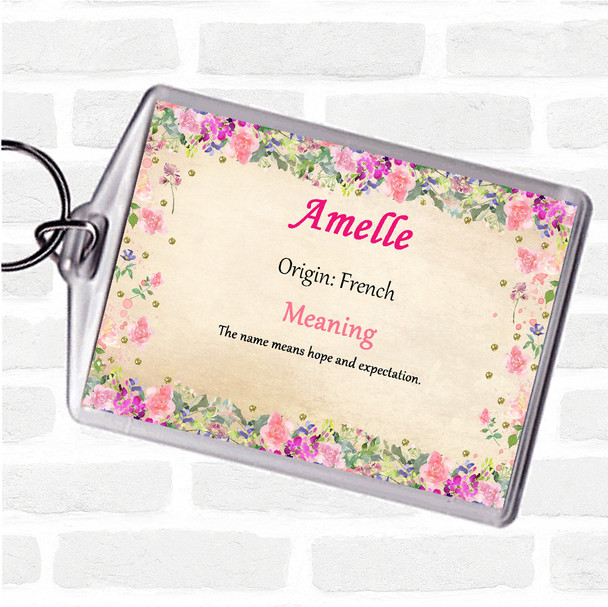 Amelle Name Meaning Bag Tag Keychain Keyring  Floral